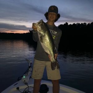 Meet your Posher, Brooks